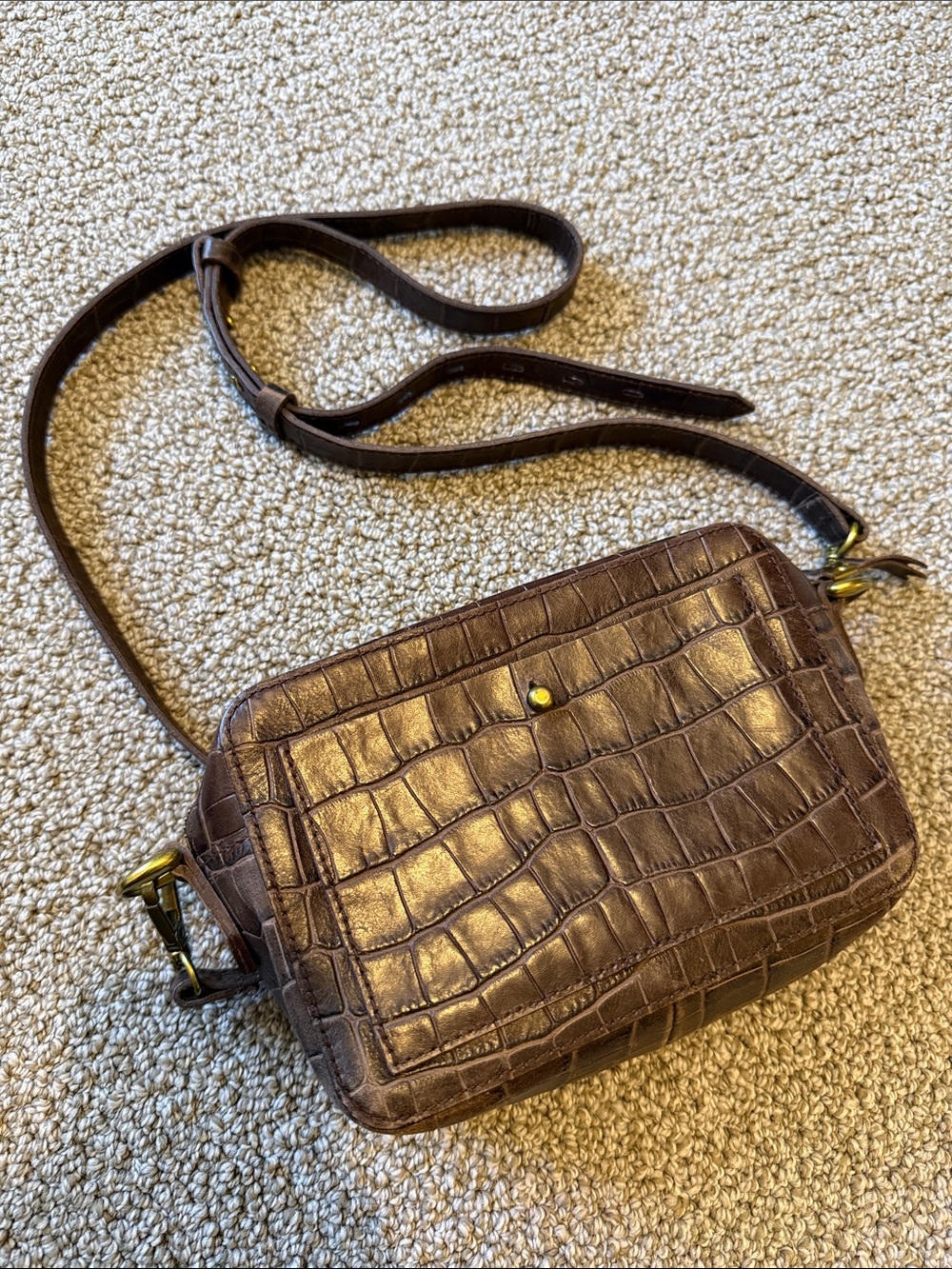 Madewell The Transport Camera Bag: Croc Embossed Leather Edition